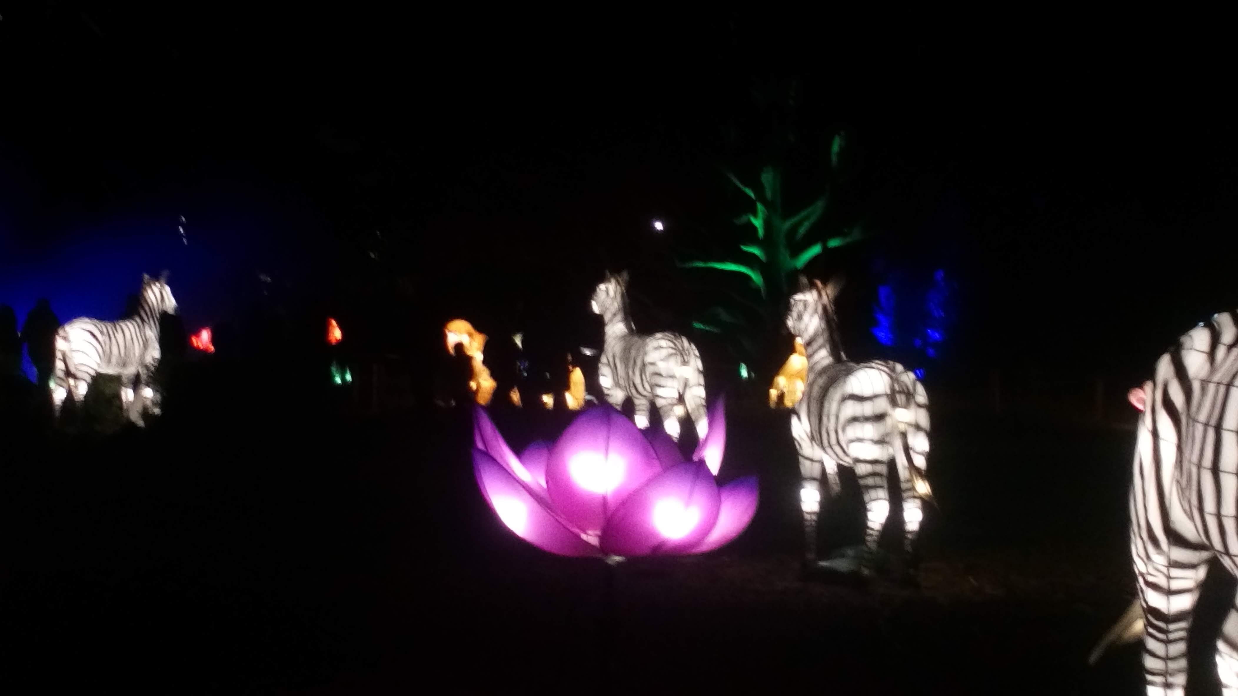 Photo n° 5 de l'avis de Veronique.A fait le 31/12/2019 à 19:05