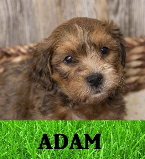 Pet Store «Pet Express», reviews and photos, 100 Independence Way, Danvers, MA 01923, USA