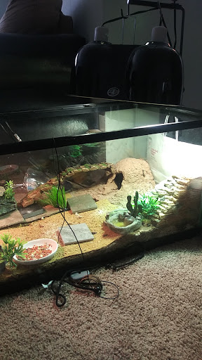 Pet Supply Store «PetSmart», reviews and photos, 24 Mountain Rd, Glen Burnie, MD 21060, USA