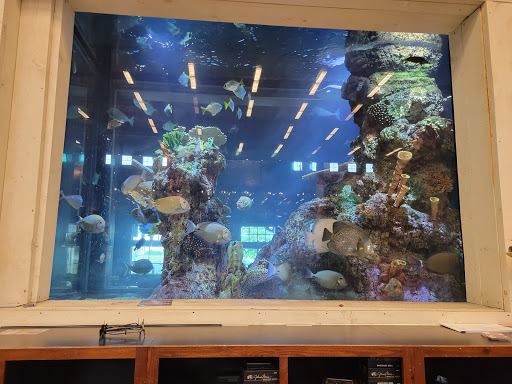 Sporting Goods Store «Bass Pro Shops», reviews and photos, 6425 Daniel Burnham Dr, Portage, IN 46368, USA