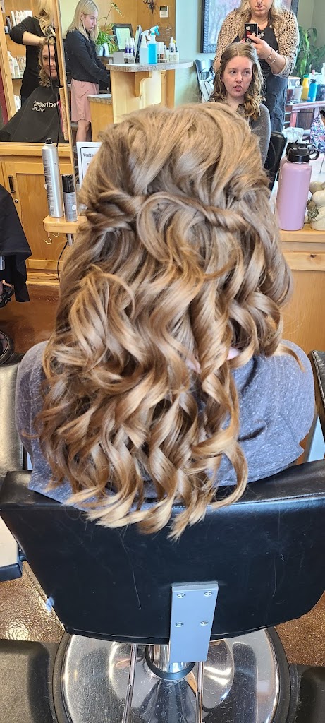 Off The Top Hair Styling Inc 55387