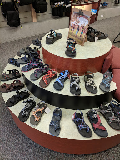 Modern Shoe
