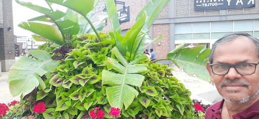 Outlet Mall «Tanger Outlet Grand Rapids», reviews and photos, 350 84th St SW, Byron Center, MI 49315, USA