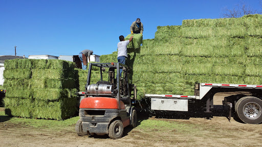 Hay supplier Carrollton