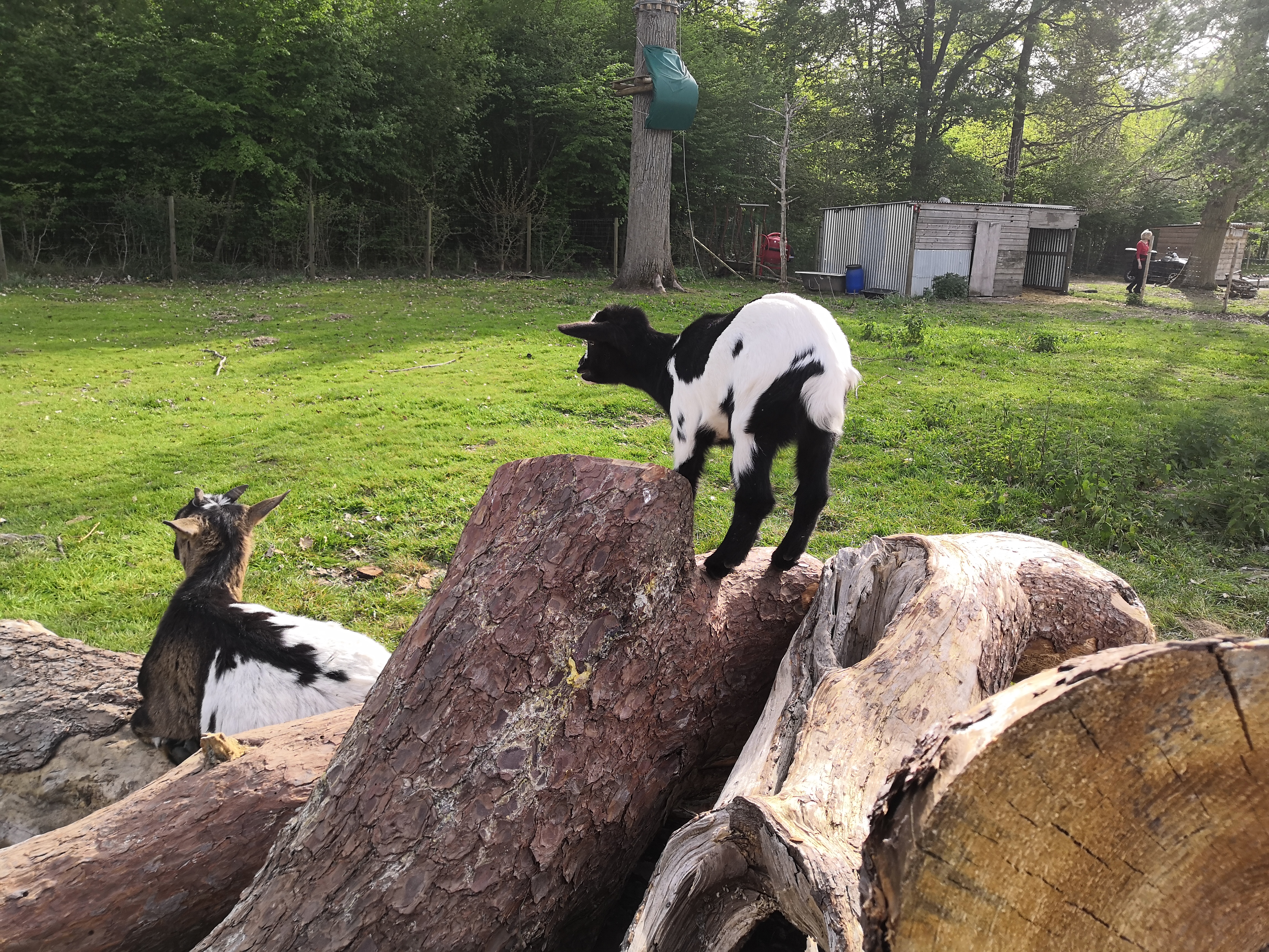 Photo n° 2 de l'avis de jean-noël.r fait le 23/04/2019 à 08:21