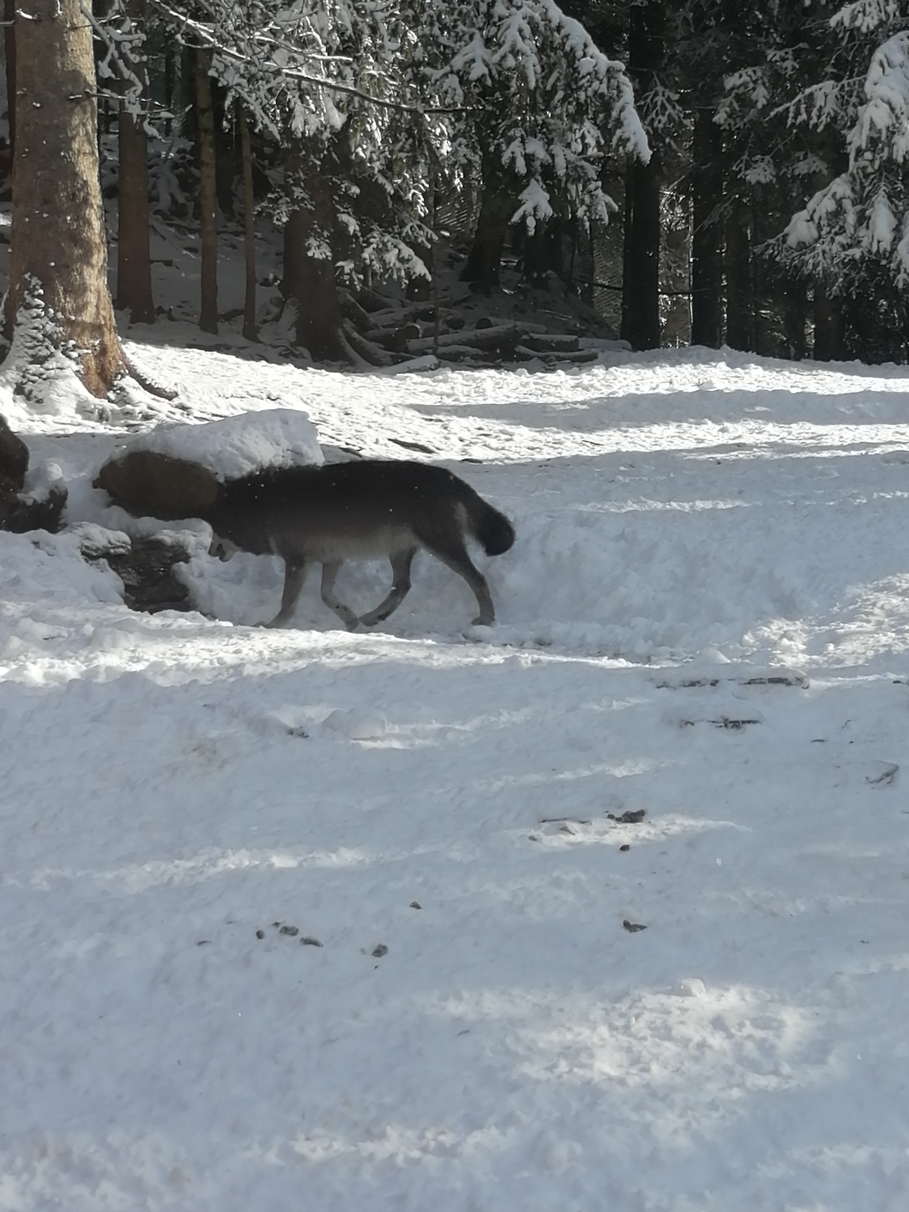 Photo n° 3 de l'avis de Valeriane.A fait le 04/02/2020 à 20:27