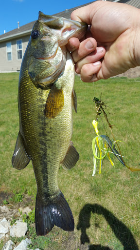 Golf Course «Stone Creek Golf Club», reviews and photos, 2600 S Stone Creek Blvd, Urbana, IL 61802, USA