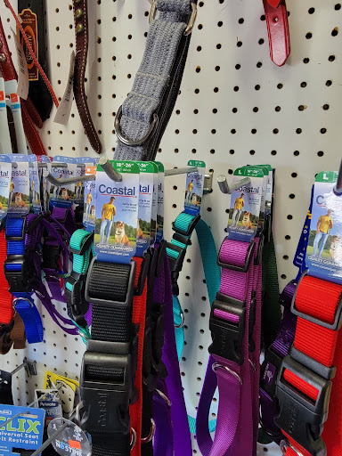 Pet Supply Store «Pet Pro», reviews and photos, 237 Shoreline Hwy, Mill Valley, CA 94941, USA
