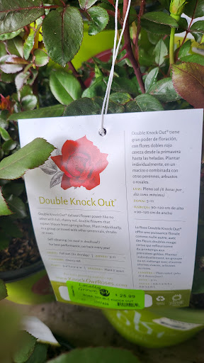 Supermarket «Big Y», reviews and photos, 62 W Main St, Spencer, MA 01562, USA