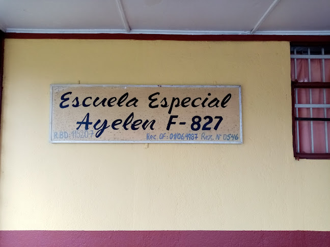 Escuela Especial Ayelen F-287 - Lautaro