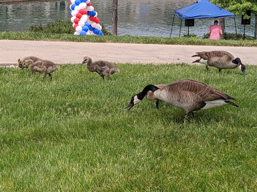 Wedding Venue «CANAL 337», reviews and photos, 337 W 11th St, Indianapolis, IN 46202, USA