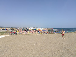 Lido Pettolecchia'in fotoğrafı plaj tatil beldesi alanı