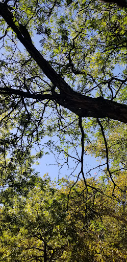 National Park «Hamilton Grange National Memorial», reviews and photos, 414 W 141st St, New York, NY 10031, USA