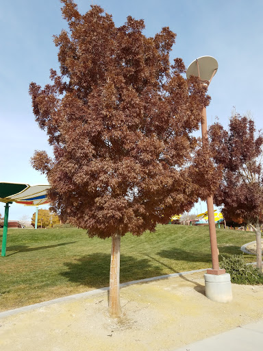 Park «Centennial Hills Park», reviews and photos, 7101 N Buffalo Dr, Las Vegas, NV 89131, USA