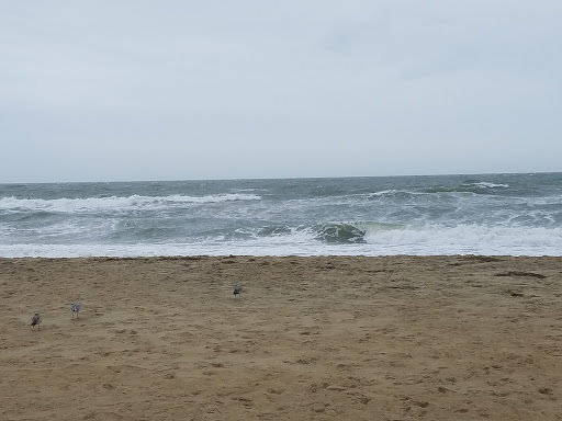 Surf Shop «Pungo Boardhouse», reviews and photos, 1789 Princess Anne Rd, Virginia Beach, VA 23456, USA