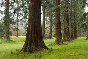 Benmore Botanic Garden image