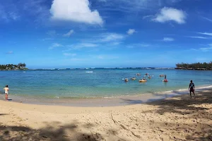 Ō’owopāla Beach image