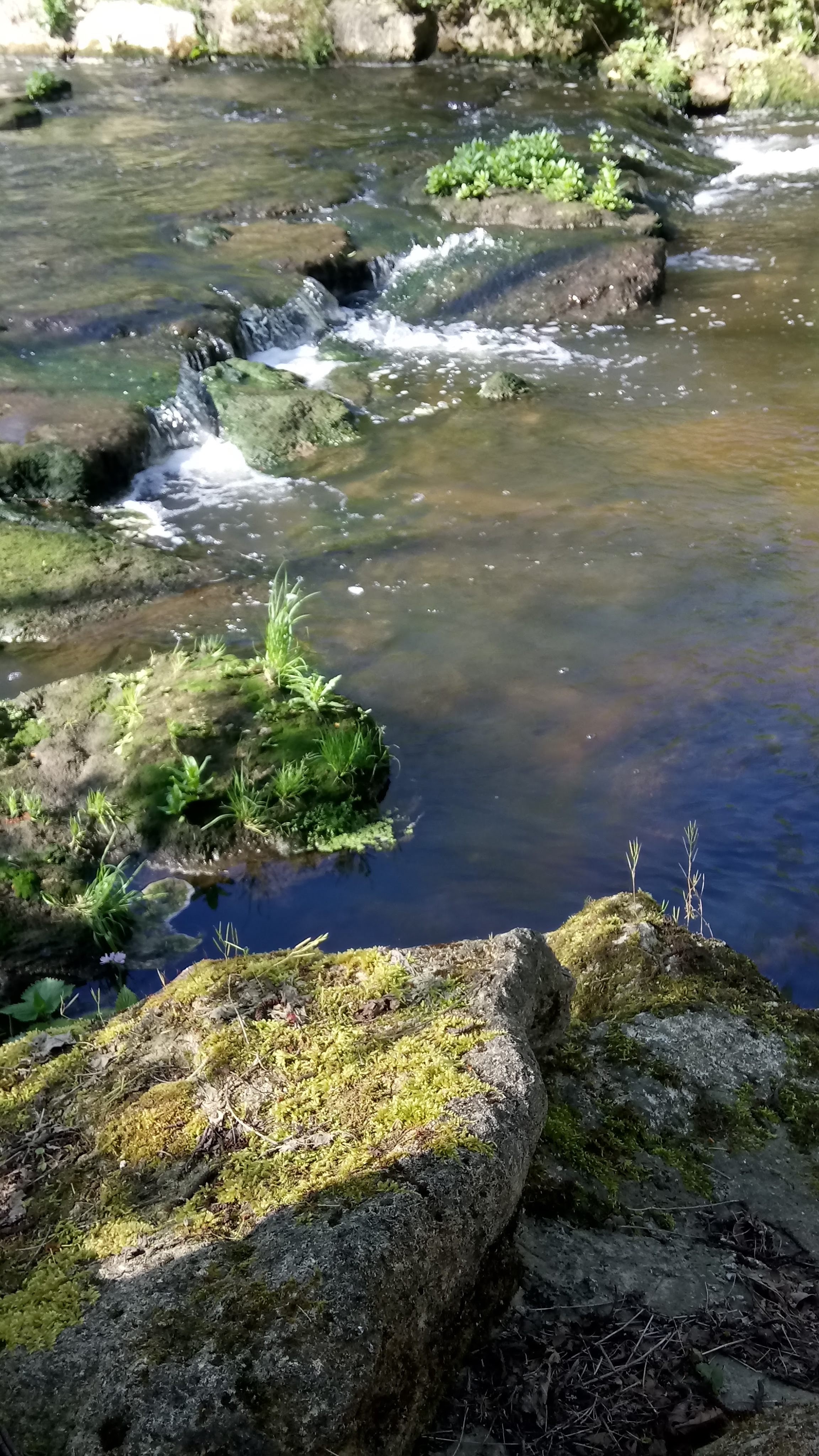 Photo n° 4 de l'avis de Agnès.E fait le 27/04/2019 à 09:21