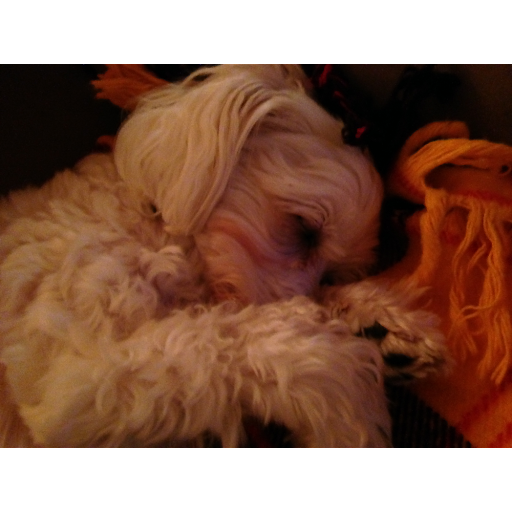 Florist «R Flowers», reviews and photos, 26090 Crocker Blvd, Harrison Charter Township, MI 48045, USA