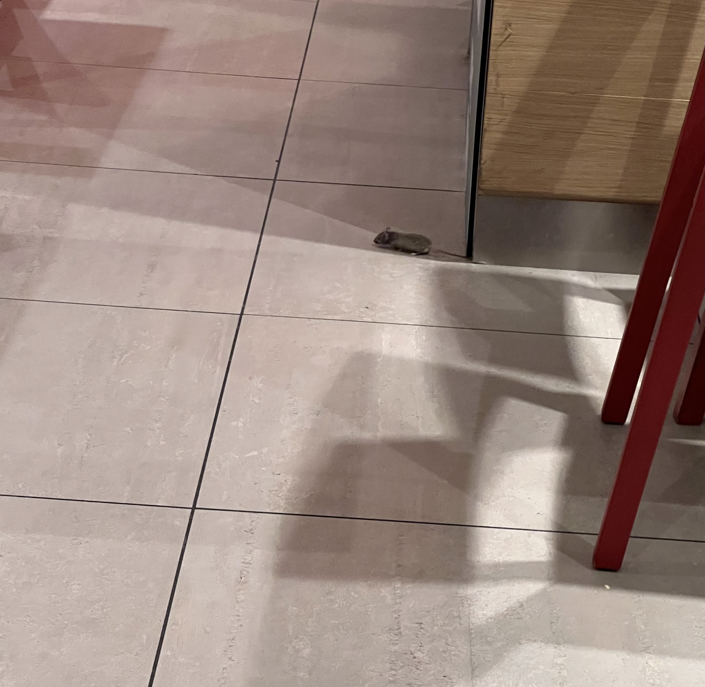 Photo n° 1 de l'avis de Le.e fait le 19/11/2023 à 13:53