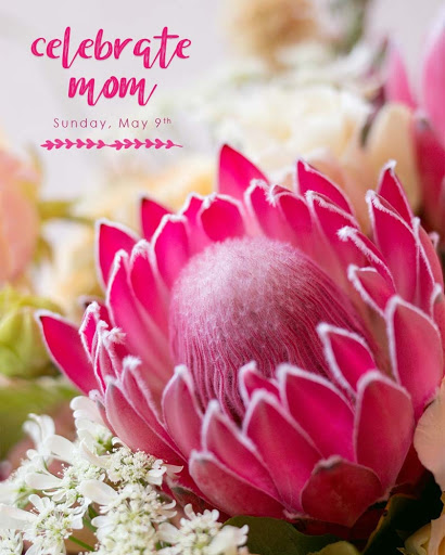 Florist «Sunnywoods Florist», reviews and photos, 251 Main Street, Chatham, NJ 07928, USA