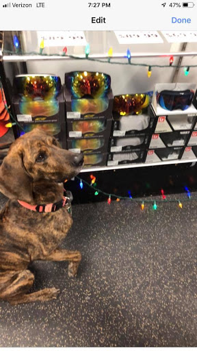 Sporting Goods Store «Play It Again Sports», reviews and photos, 25875 Novi Rd #140, Novi, MI 48375, USA