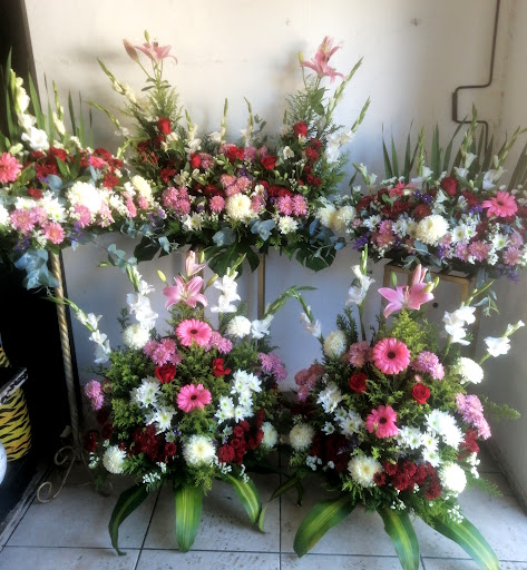 Florería Rosa-Río florería en  en la zona Centro