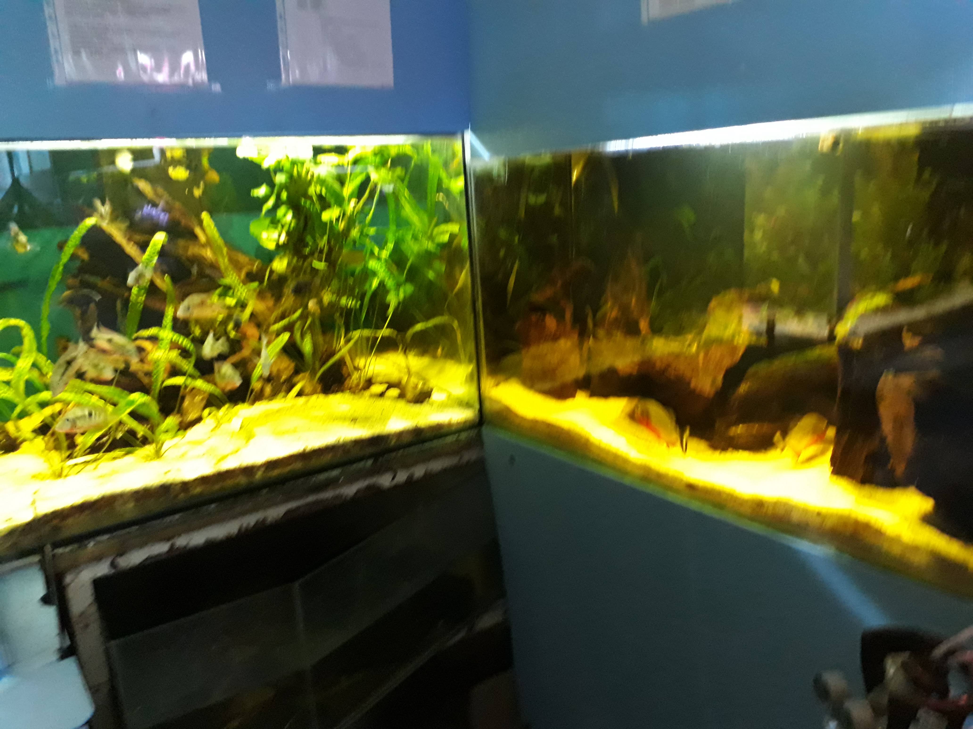Photo n° 1 de l'avis de Jacques.a fait le 06/04/2019 à 14:58