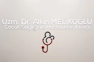 Alkın Melikoğlu image