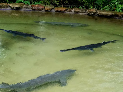 Event Venue «Event Center», reviews and photos, 1202 E 38th St, Indianapolis, IN 46205, USA