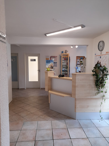 Karin George Tierärztin unter Schwalmstadt, 