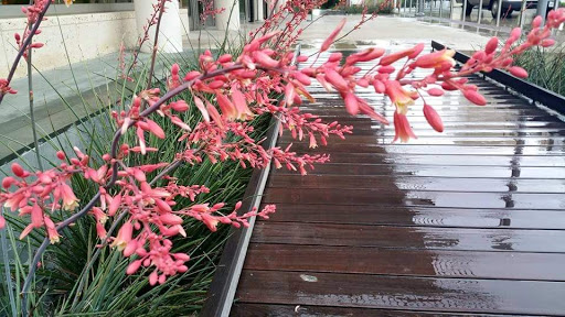 Health Insurance Agency «Blue Cross and Blue Shield of Texas», reviews and photos