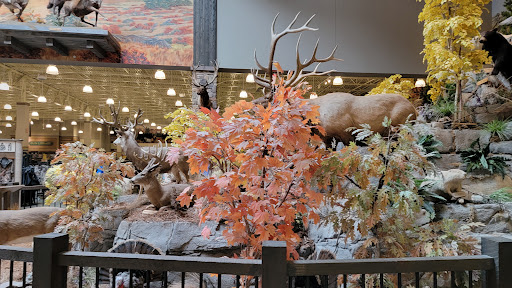 Sporting Goods Store «Bass Pro Shops Base Camp», reviews and photos, 2500 E Kearney St, Springfield, MO 65803, USA