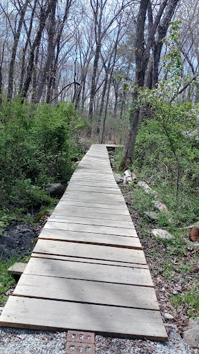 Park «Pond Meadow Park», reviews and photos, 470 Liberty St, Braintree, MA 02184, USA