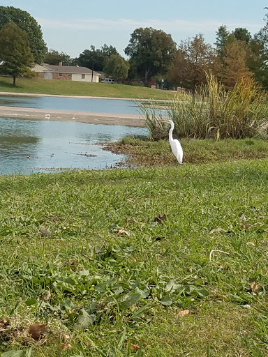 Recreation Center «Huffhines Recreation Center», reviews and photos, 200 N Plano Rd, Richardson, TX 75081, USA