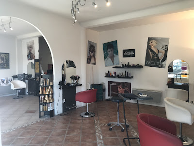 Elixir Cut And Color à Pau