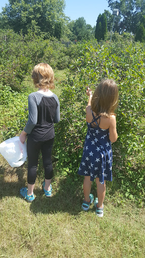 Produce Market «Mt Olympus Berry Farm», reviews and photos, 23298 Jefferson Davis Hwy, Ruther Glen, VA 22546, USA