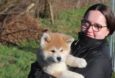 Eva'sion dog and cat - Pet sitting à Laignelet