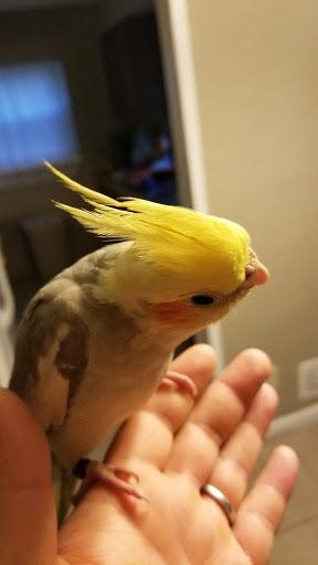 Pet Supply Store «Pet Valu», reviews and photos, 6220 Wilmington Pike D, Sugarcreek Township, OH 45459, USA