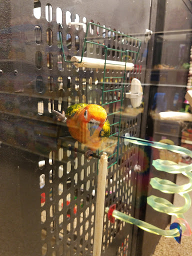 Pet Supply Store «PetSmart», reviews and photos, 401 S Mt Juliet Rd #645, Mt Juliet, TN 37122, USA