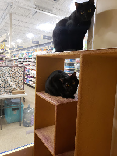 Pet Supply Store «PetSmart», reviews and photos, 711 US-41, Schererville, IN 46375, USA