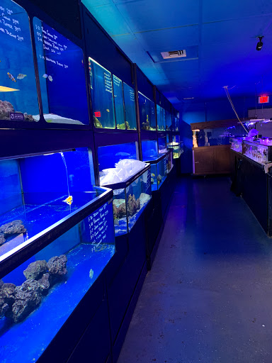 Tropical Fish Store «Saltwater Paradise», reviews and photos, 1313 W Airport Fwy, Irving, TX 75062, USA