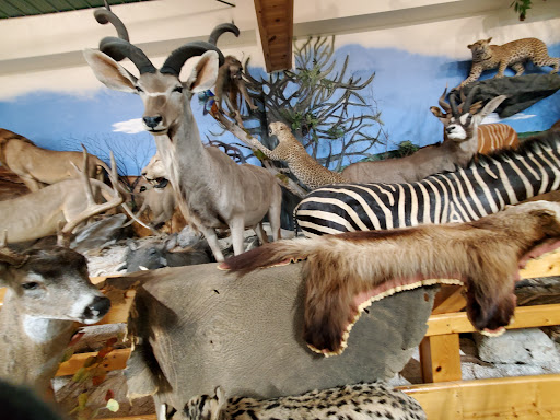 Sporting Goods Store «Midwestern Shooters Supply», reviews and photos, 191 Church St, Lomira, WI 53048, USA