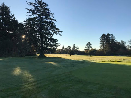 Golf Course «Peninsula Golf Course», reviews and photos, 9604 Pacific Ave, Long Beach, WA 98631, USA