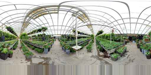 Florist «Anderson Florist and Greenhouse», reviews and photos, 1812 N Detroit St, Warsaw, IN 46580, USA