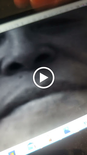 Explore easy henna tattoo ideas, creative tattoo ideas in Rio Grande City, available at RG INK