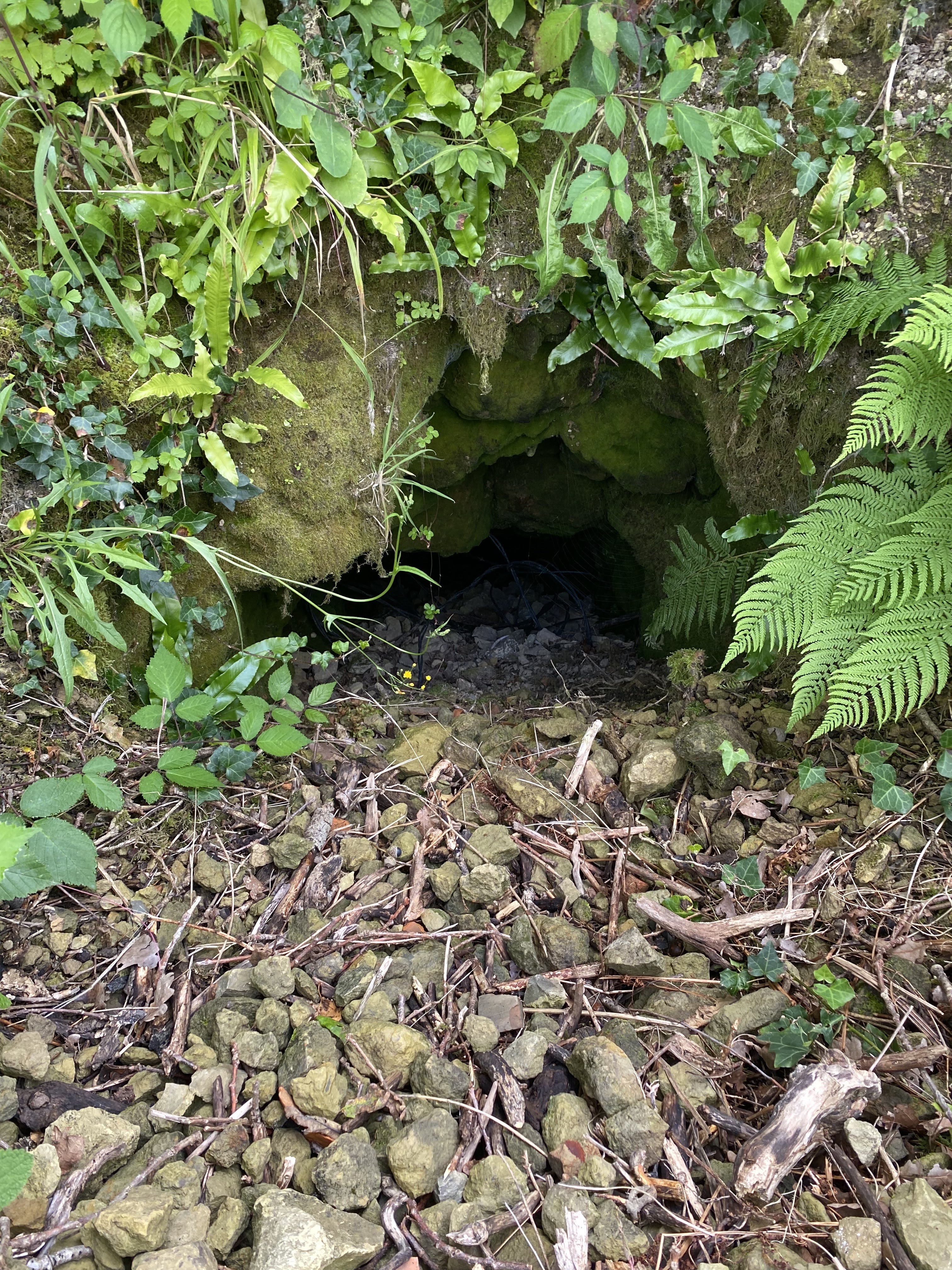 Photo n° 2 de l'avis de J.a fait le 10/09/2021 à 13:23