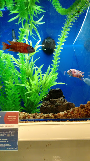 Pet Supply Store «PetSmart», reviews and photos, 2000 Clements Bridge Rd, Woodbury, NJ 08096, USA