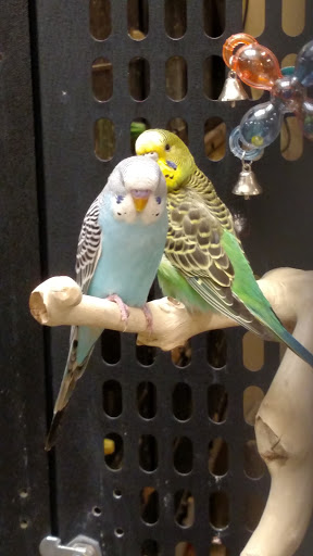 Pet Supply Store «PetSmart», reviews and photos, 4429 Pecanland Mall Dr, Monroe, LA 71203, USA