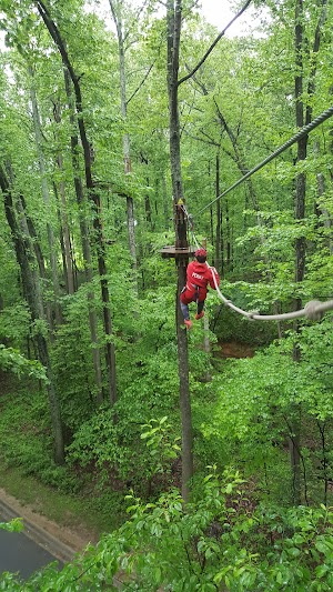 Go Ape Zipline & Adventure Park - photo 75